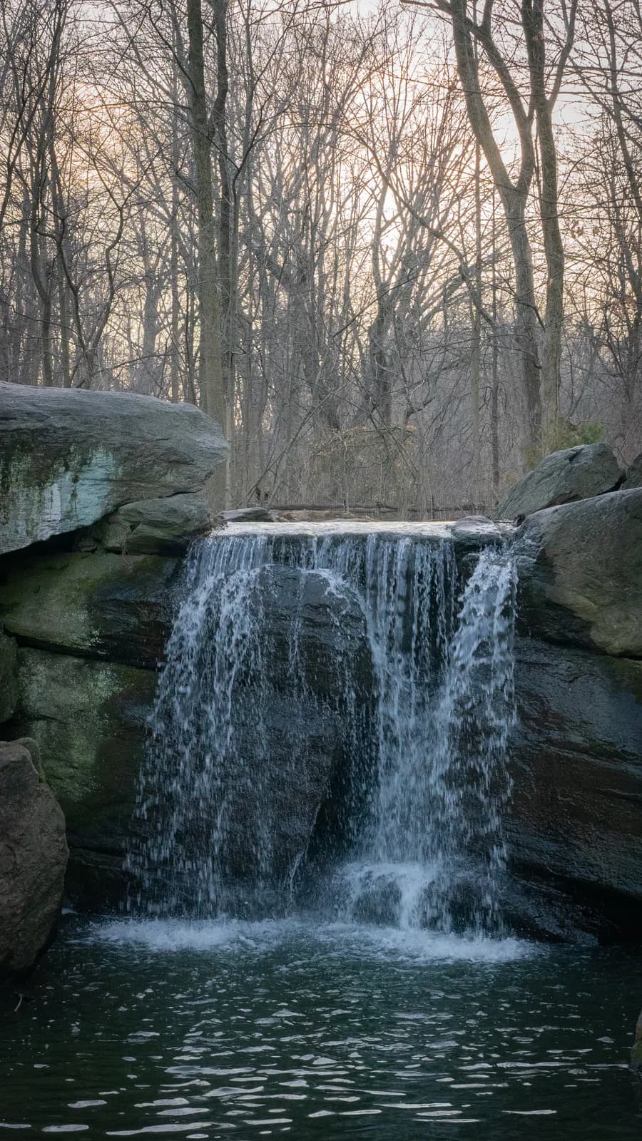 A small waterfall cascades over dark rocks into a pool, framed by a dense backdrop of bare trees.