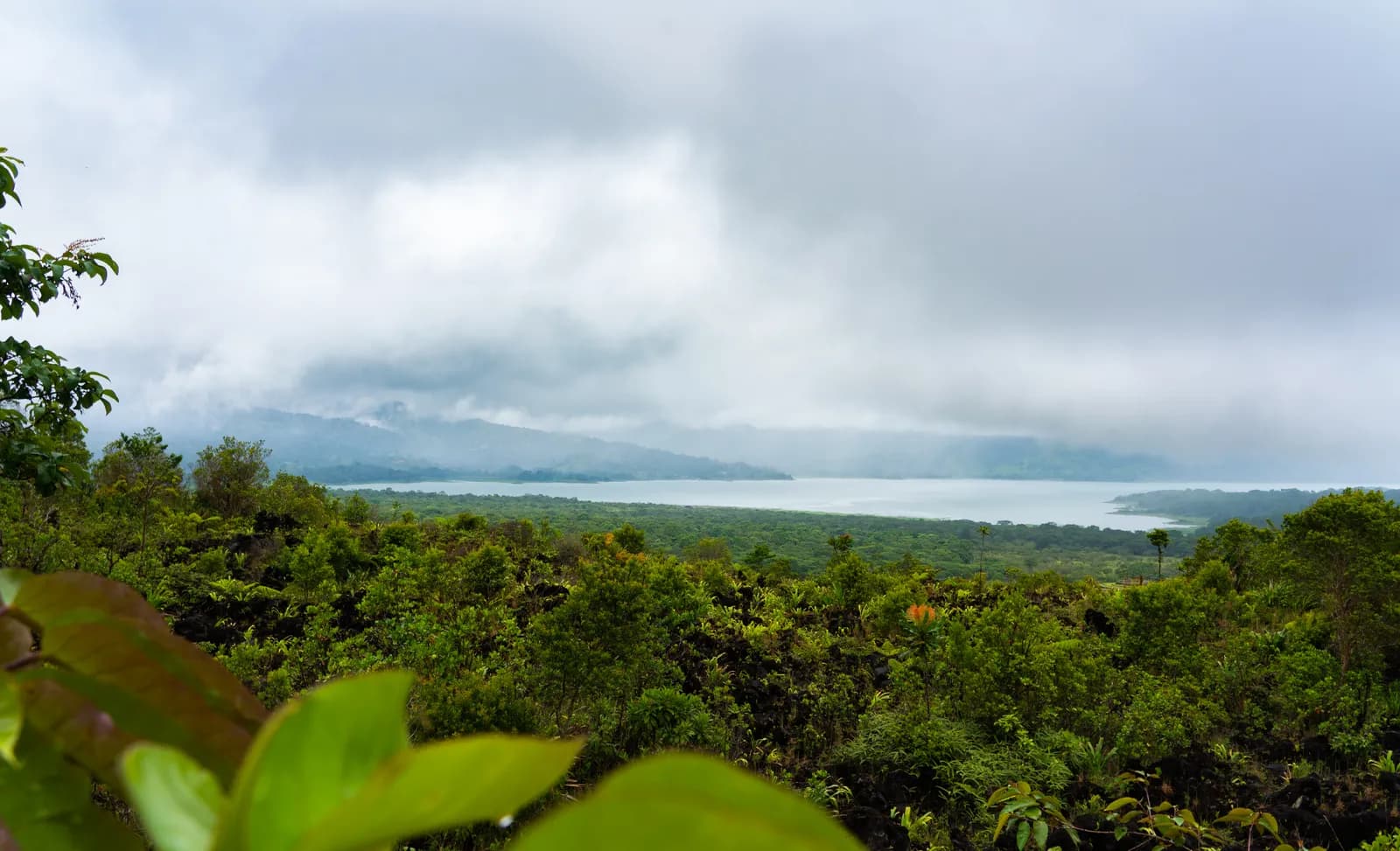 A lush view over a misty lake surrounded by dense tropical forest under an overcast sky.