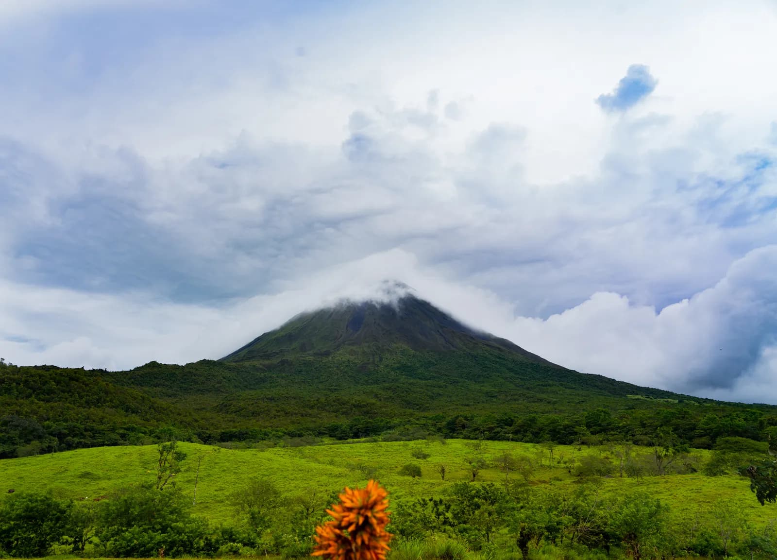 A lush green foreground leads up to a misty, cloud-shrouded mountain peak under a dramatic, overcast sky.