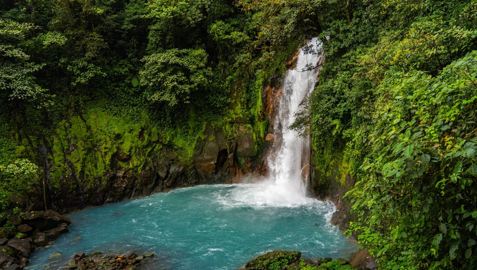 A powerful waterfall cascades into a vibrant turquoise pool surrounded by dense, lush tropical foliage.